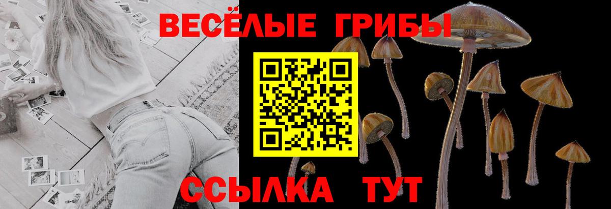 Воскресенск  Псилоцибиновые грибы Cubensis  Вход с VPN 
